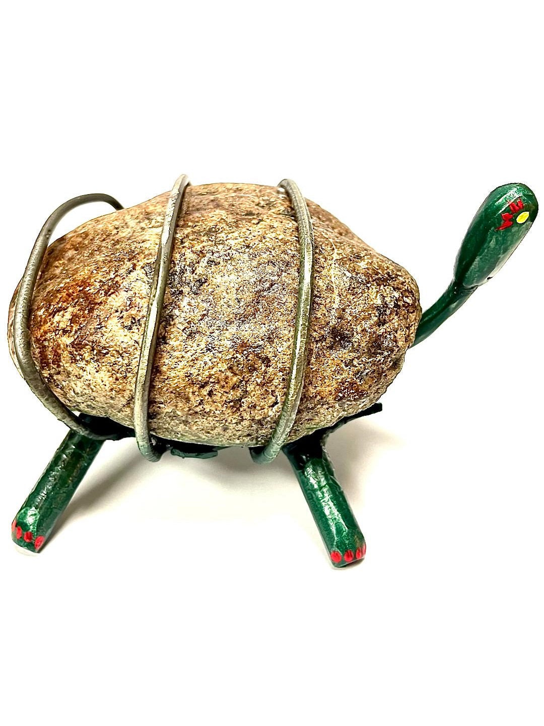 Medium Turtle